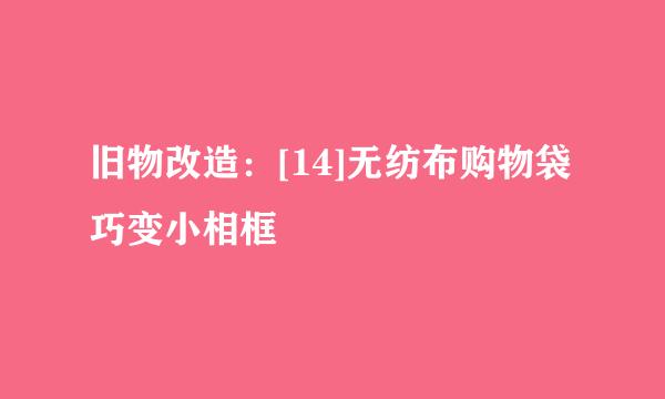 旧物改造：[14]无纺布购物袋巧变小相框