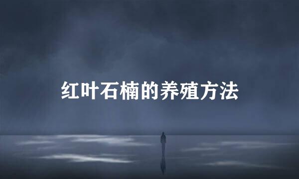 红叶石楠的养殖方法