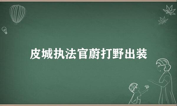 皮城执法官蔚打野出装