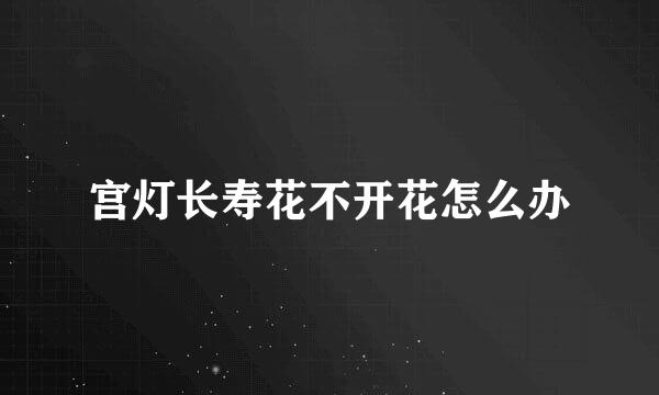 宫灯长寿花不开花怎么办