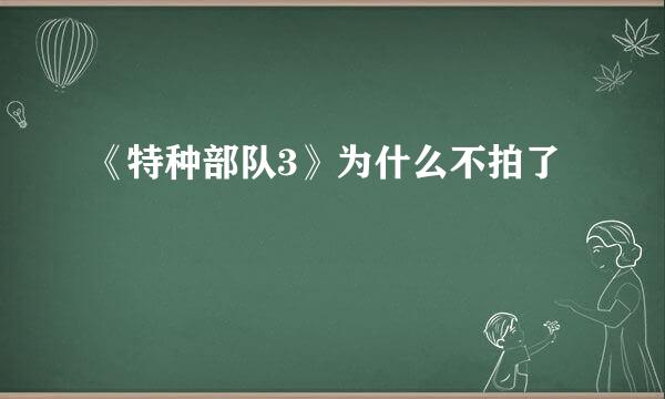 《特种部队3》为什么不拍了
