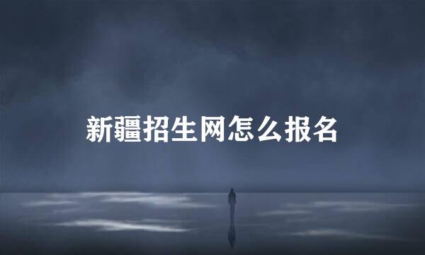 新疆招生网怎么报名