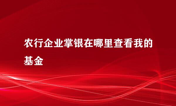 农行企业掌银在哪里查看我的基金