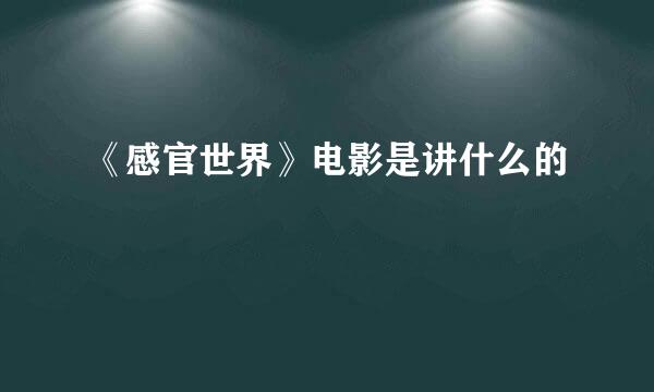 《感官世界》电影是讲什么的