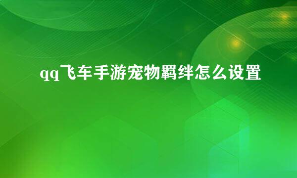 qq飞车手游宠物羁绊怎么设置