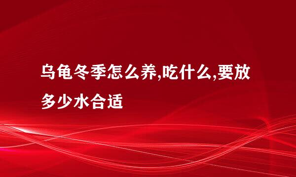 乌龟冬季怎么养,吃什么,要放多少水合适