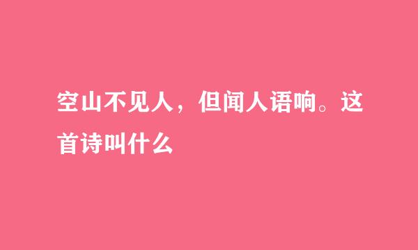 空山不见人，但闻人语响。这首诗叫什么