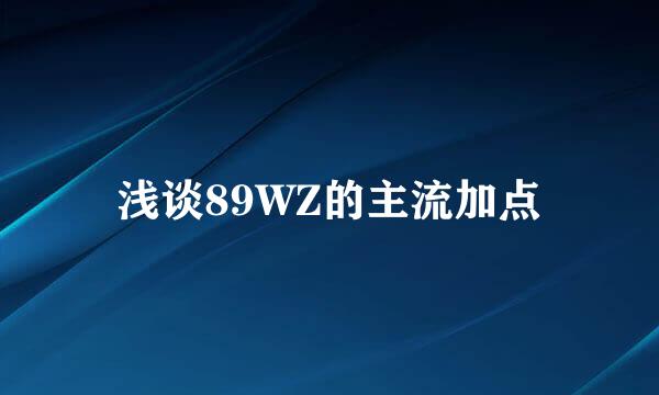 浅谈89WZ的主流加点