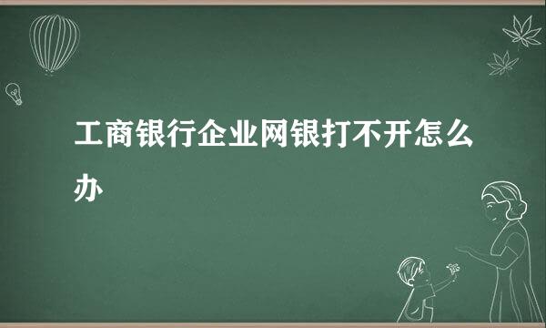 工商银行企业网银打不开怎么办