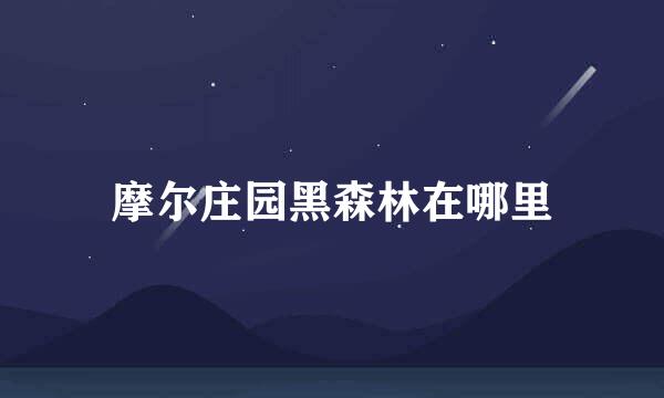 摩尔庄园黑森林在哪里