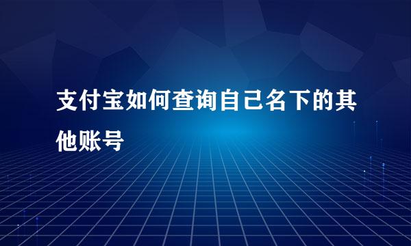 支付宝如何查询自己名下的其他账号
