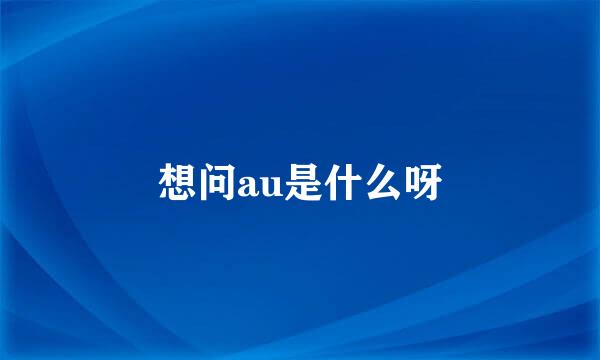 想问au是什么呀