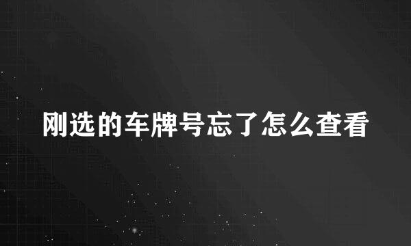 刚选的车牌号忘了怎么查看