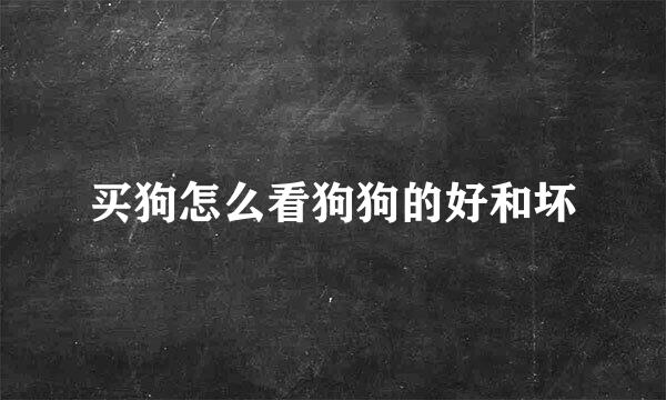 买狗怎么看狗狗的好和坏