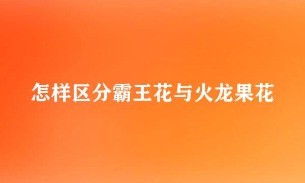 怎样区分霸王花与火龙果花
