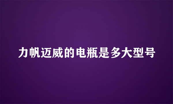 力帆迈威的电瓶是多大型号