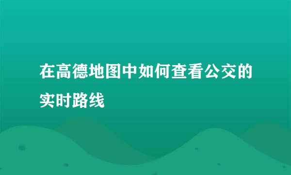 在高德地图中如何查看公交的实时路线