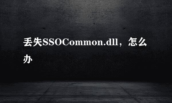 丢失SSOCommon.dll，怎么办