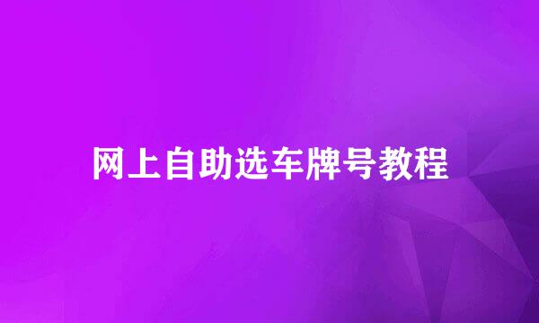 网上自助选车牌号教程
