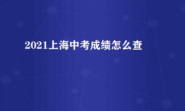 2021上海中考成绩怎么查