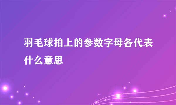 羽毛球拍上的参数字母各代表什么意思