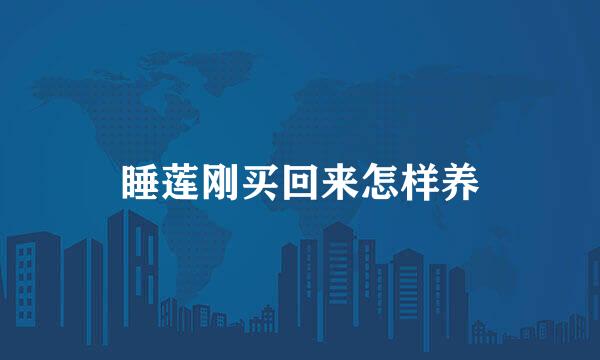 睡莲刚买回来怎样养
