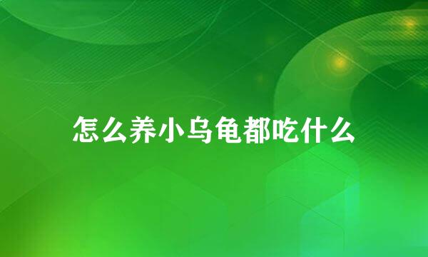 怎么养小乌龟都吃什么