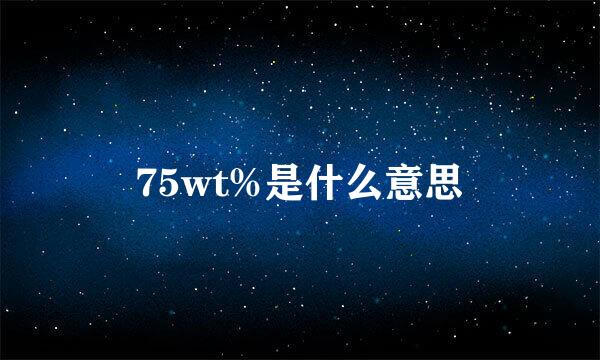 75wt%是什么意思