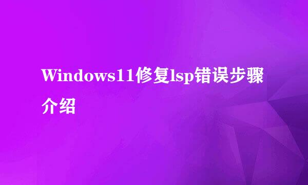 Windows11修复lsp错误步骤介绍