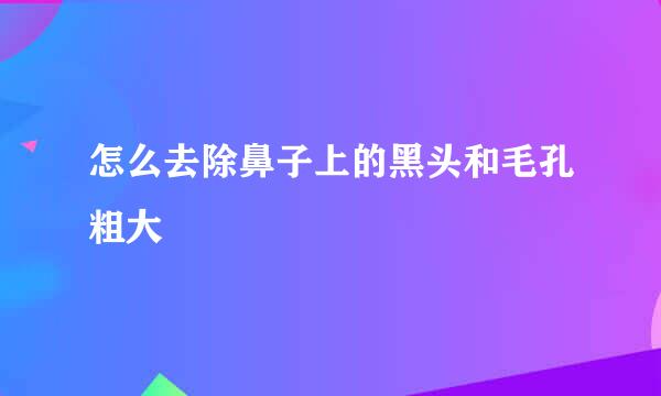 怎么去除鼻子上的黑头和毛孔粗大
