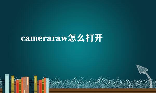 cameraraw怎么打开