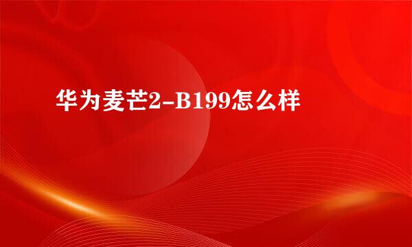 华为麦芒2-B199怎么样