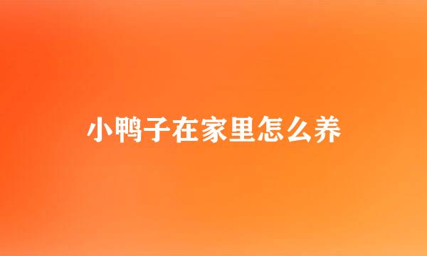小鸭子在家里怎么养