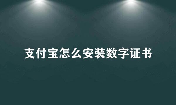 支付宝怎么安装数字证书
