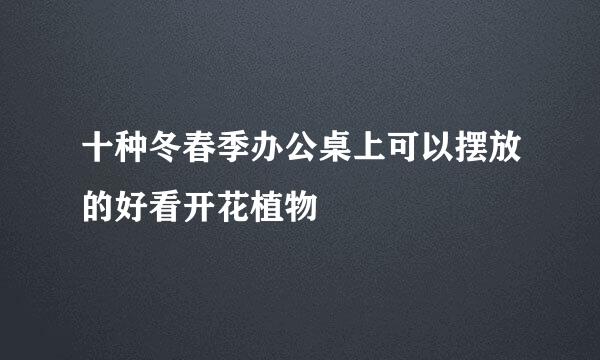十种冬春季办公桌上可以摆放的好看开花植物