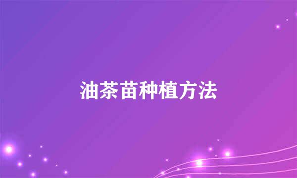 油茶苗种植方法