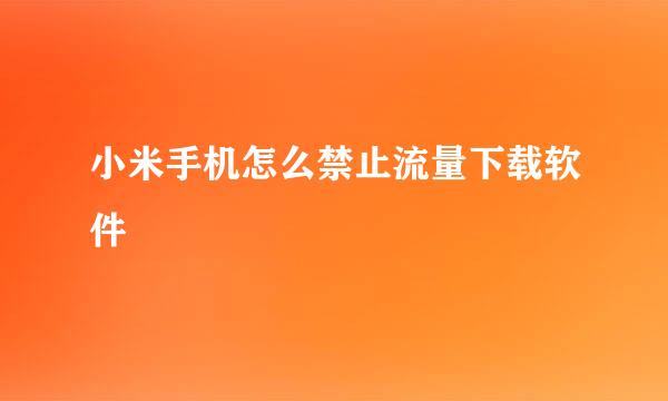 小米手机怎么禁止流量下载软件
