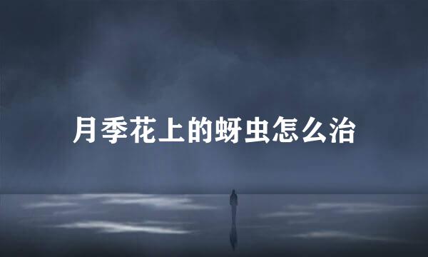月季花上的蚜虫怎么治