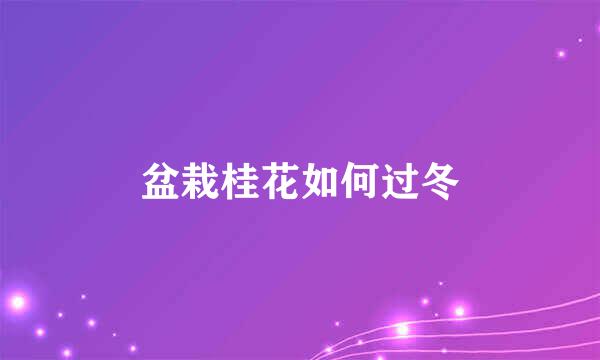 盆栽桂花如何过冬