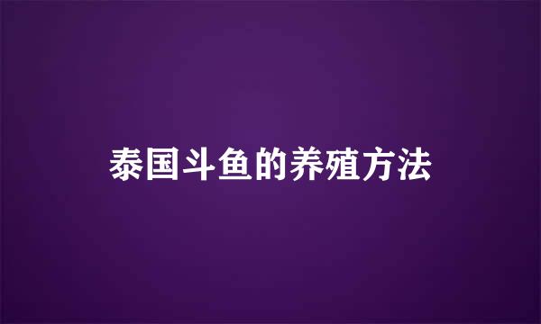 泰国斗鱼的养殖方法
