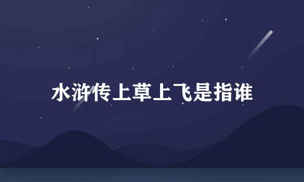 水浒传上草上飞是指谁