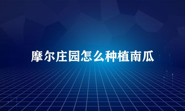 摩尔庄园怎么种植南瓜