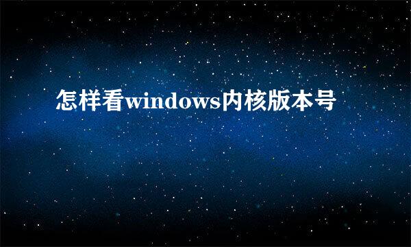 怎样看windows内核版本号