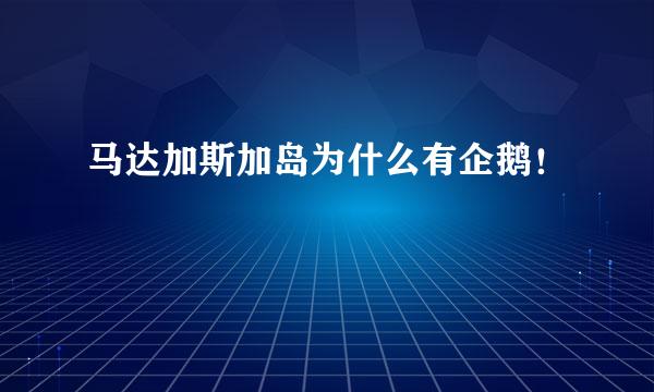 马达加斯加岛为什么有企鹅！