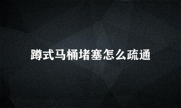 蹲式马桶堵塞怎么疏通