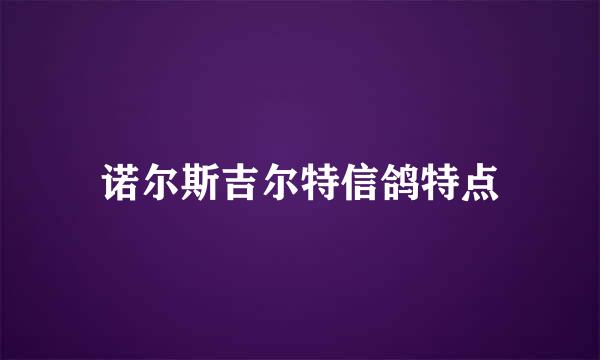 诺尔斯吉尔特信鸽特点