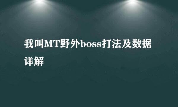 我叫MT野外boss打法及数据详解
