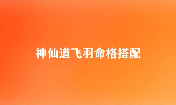 神仙道飞羽命格搭配