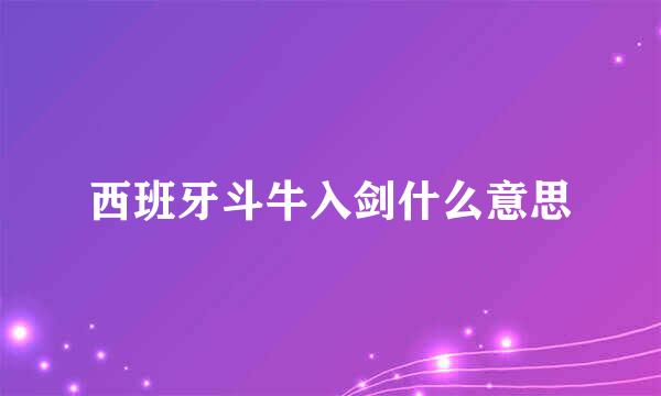 西班牙斗牛入剑什么意思
