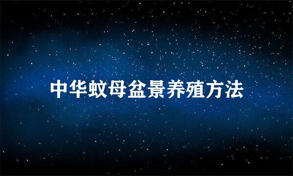 中华蚊母盆景养殖方法
